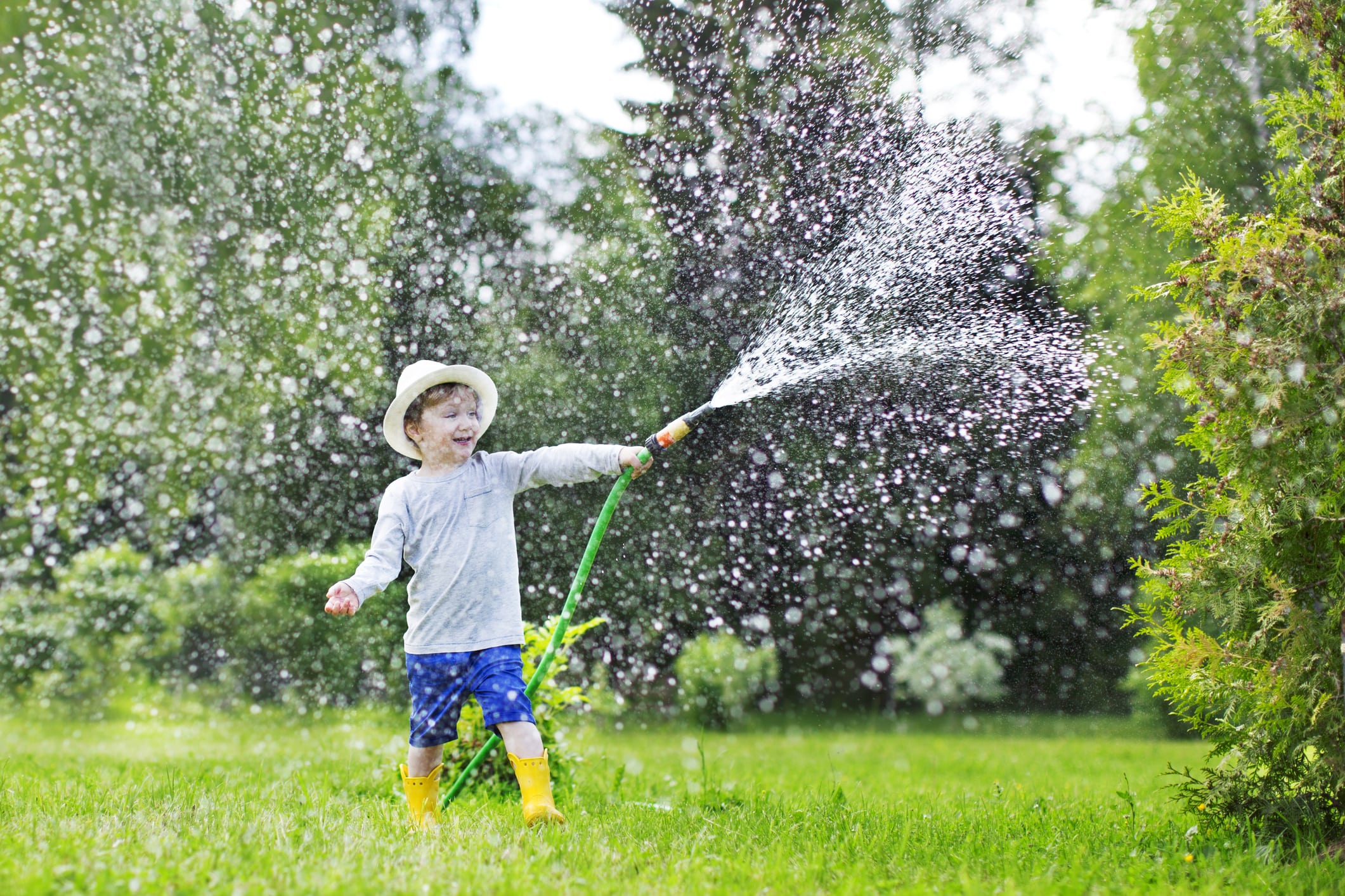 A boy holding a hose and showering the plants